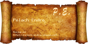 Pelach Endre névjegykártya